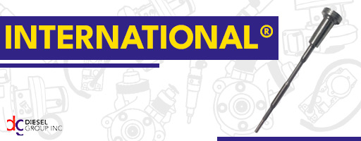 internetional-menu-varios